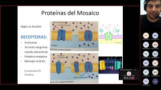 Tutoría Capítulos 5 y 6 Biología Teoría UNED [upl. by Ainuj831]