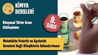 Molekülde Polarlık ve Apolarlık  Kovalent Bağlı Bileşiklerin Adlandırılması  9 Sınıf Kimya [upl. by Lanor]