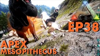 BGZ  ARK Survival Evolved EP38 จับลิงapex mesopithecusเทพเเห่งความสกปรก [upl. by Nannoc]