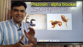 scorpion 🦂 sting ka ilaz and honey bee 🐝 and wasp sting ka ilaz drniteshraj [upl. by Anierdna832]