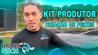 COMO INICIAR SUA CRIAÇÃO DE PEIXES TANQUE ELEVADO  Kit Produtor [upl. by Franckot720]