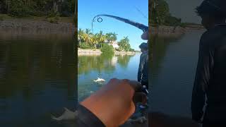 Palometa 👀🎣🐟 mazatlan 🇲🇽 fishing 🎣 [upl. by Eicak]