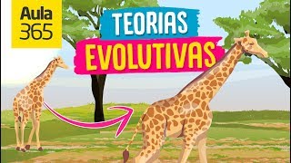 Las Teorías Evolutivas Darwin y Lamarck  Videos Educativos Aula365 [upl. by Uwkuhceki]