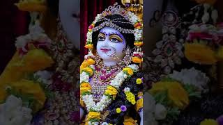 Maine suna hai vaha lali Bhai hai happy radhaashtami Jai shree Krishna radhe radhe 🙏🙏 [upl. by Evad]