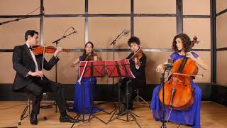 Water Music  Air Handel String Quartet Wedding Music [upl. by Ybbil168]