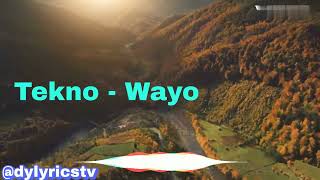 Tekno  Wayo lyrics [upl. by Joann715]