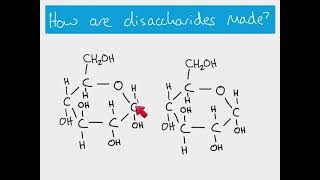 AS Biology  Making and breaking glycosidic bonds [upl. by Ambie342]