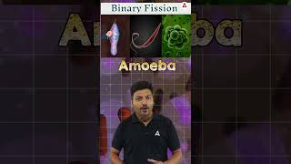 What is Fission shorts biology science class10 boardexam [upl. by Kevan285]