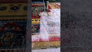 Carpet cleaning viralvideo shortvideo shortsfeed carpetcleaning [upl. by Birkner]