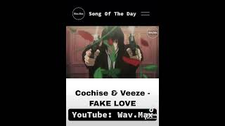 Cochise amp Veeze  FAKE LOVE Anime Visualizer [upl. by Yelyak]