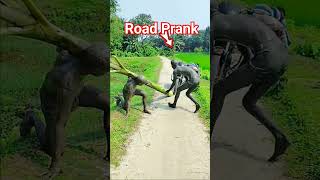 The impossible road crossing prank comedy crossing [upl. by Buddy285]