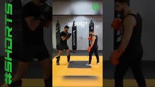 Kickboxing Liver shot to Counter the Low Kick with Jay Jauncey [upl. by Malinde]