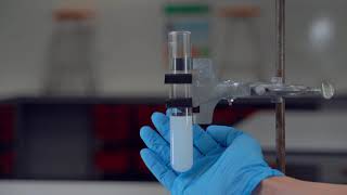 Reaction Rate  Hydrochloric acid  Sodium Thiosulfate Concentration [upl. by Nobel]