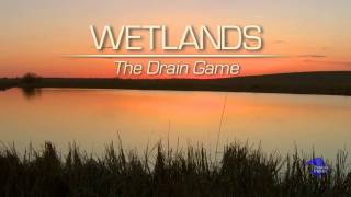 Wetlands The Drain Game [upl. by Aianat]