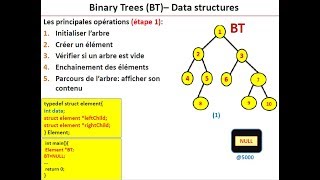 Les arbres binaires  structures de données  cours amp exemple [upl. by Kus]