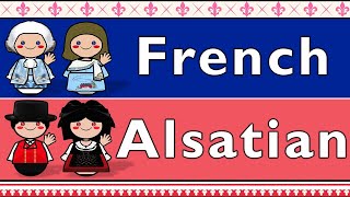 FRANCE FRENCH amp ALSATIAN [upl. by Alexine]