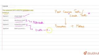 The collective term used for premolars and molars is [upl. by Rip]