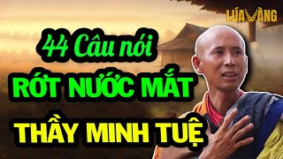 Tiết Lộ 44 Câu Nói Của Sư Minh Tuệ Đáng Để Chiêm Nghiệm Cả Đời Ai Nghe Cũng Thấy Xúc Động Vô Cùng [upl. by Odlo]