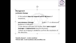 Lec 1 Perinephric Abscess [upl. by Redan998]