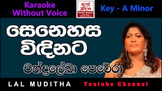 Senehasa Windinata සෙනෙහස විඳිනට Chandraleka Perera Karaoke Song Without Voice [upl. by Yekciv]