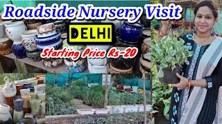 Roadside Nursery TourFaridabad delhiHaryanaSector 46  Cheapest nursery of delhi roadsidenursery [upl. by Alfy]