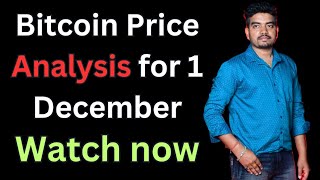 Part 17  Bitcoin Price Analysis Hindi  Bitcoin Next Target 1 December 2024 [upl. by Floris541]