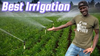 Why sprinkler irrigation is the best in my farm [upl. by Yleak985]