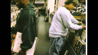 DJ Shadow  Number Song [upl. by Tasiana]