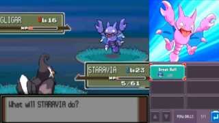 Where to CaptureCatch Gligar In Pokemon Platinum Diamond Pearl [upl. by Hasila]