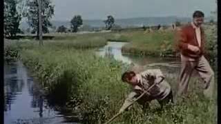 ☛☛ Die Fischerin vom Bodensee 1956 ☚☚ [upl. by Ecyt156]