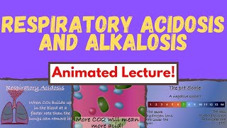 Blood Gas Basics Respiratory Acidosis amp Alkalosis Physiology amp Interpretation made simple [upl. by Japheth]