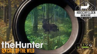 Un paseo por Hirschfelden  TheHunter Call of the Wild [upl. by Broderick]