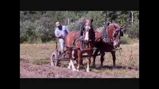 Fall Plowing with Tommy FlowersFred WolferFarmer Brown 2012 [upl. by Htomit163]