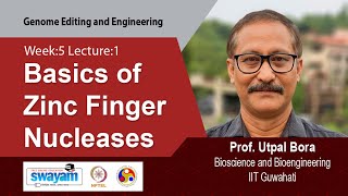 Lec 10 Basics of Zinc Finger Nucleases [upl. by Gmur365]