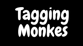 Tagging Monkes [upl. by Patrica]