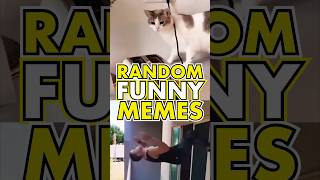 RANDOM FUNNY MEMES 🤣 Daily Funny Videos pt231 [upl. by Hinman122]