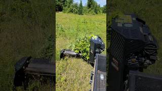 BeaverTech Brush Cutter In Action BeaverTech [upl. by Devin955]