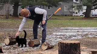 Fiskars and Whiskers Splitting Wood With My KITTY 🪓🪵😺 [upl. by Kucik]