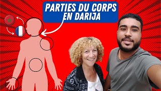 16  LES PARTIES DU CORPS EN DIALECTE MAROCAIN  apprendre le darija [upl. by Kidder]