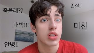 Foreigner Tries Speaking Korean [upl. by Aihsemek740]