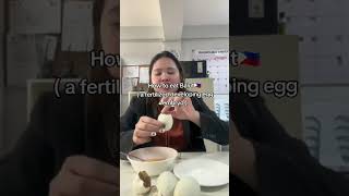 How to eat Balut🇵🇭 a fertilized developing egg embryo that is boiled‭Psalms 194 philippines [upl. by Teresa]