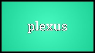 Plexus Meaning [upl. by Camella656]