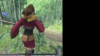 FFXI Rhapsodies of Vanadiel Mission 321 [upl. by Flosser]