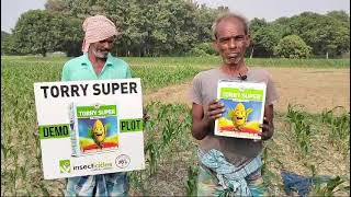 Best Maize Herbicides Torry Super  Tractor Brand IIL [upl. by Llohcin]