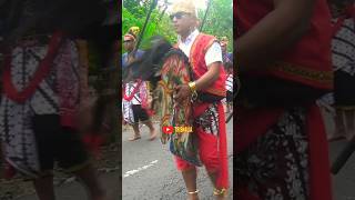 KIRAB BUDAYA GARI WONOSARI GUNUNGKIDUL [upl. by Krebs]