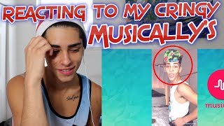 REACTING TO MY CRINGEY MUSICALY  Flamingeos [upl. by Sesmar]