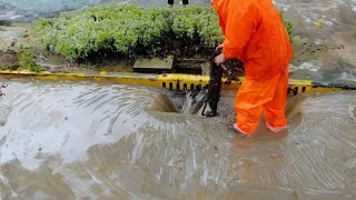 Urban Flooding Unclogging Drains and Restoring Order to the Streets [upl. by Gusty14]