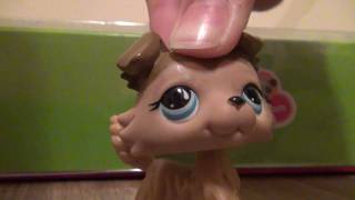 Littlest Pet Shop Advent Calendar Door 16 [upl. by Tnilc652]