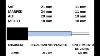 CARACTERÍSTICAS Y MEDIDAS DE CONECTORES DE FIBRA ÓPTICA [upl. by Esbenshade112]