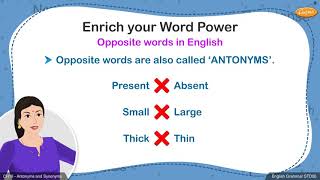 Grade 6 English  Antonyms and Synonyms [upl. by Ojytteb]